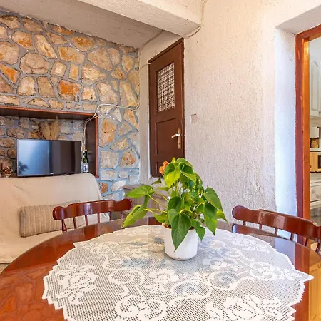 Pet Friendly Novi Vinodolski