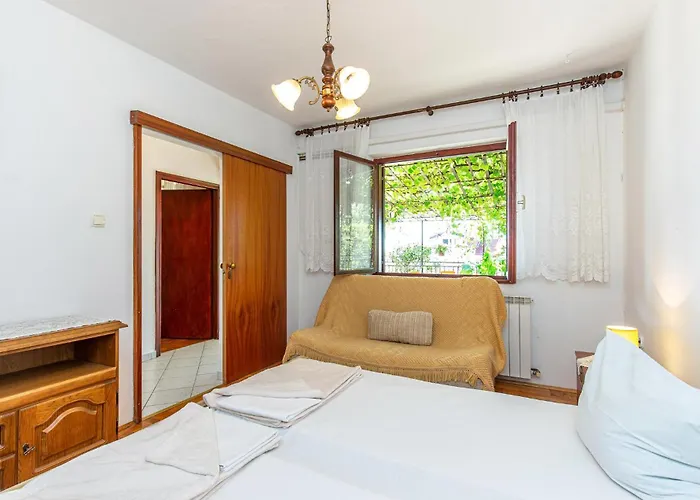 Pet Friendly Novi Vinodolski