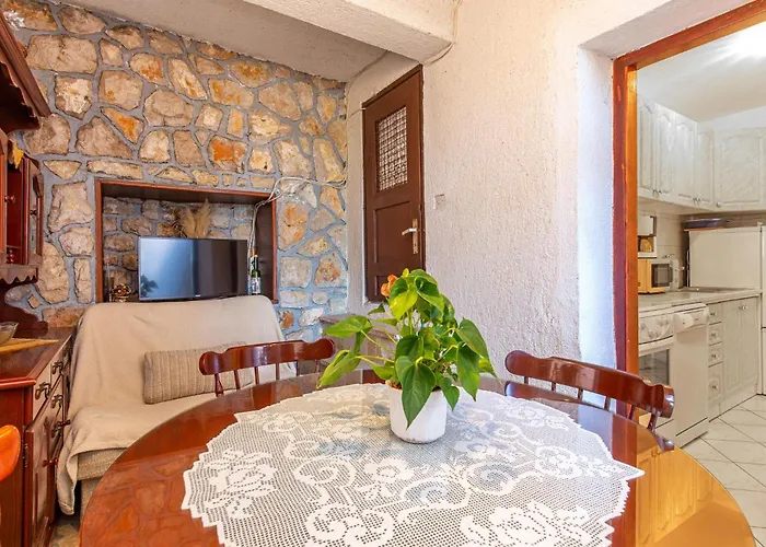 Pet Friendly Novi Vinodolski